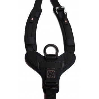 380 Voyager Harness