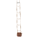 537 20 ft. Ultralite Urban Assault Ladder